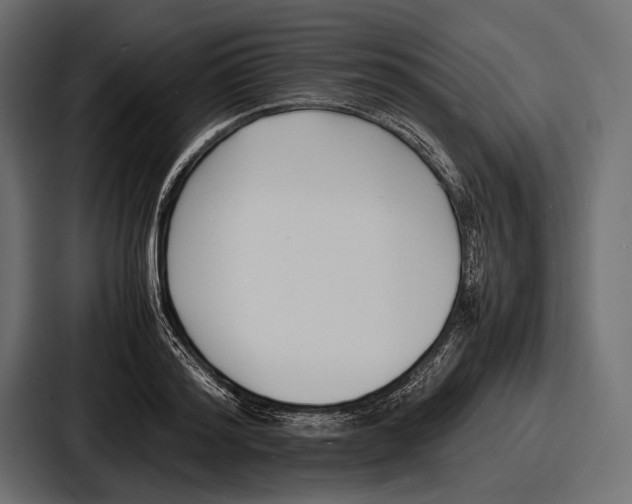 X0000086720796200705111554