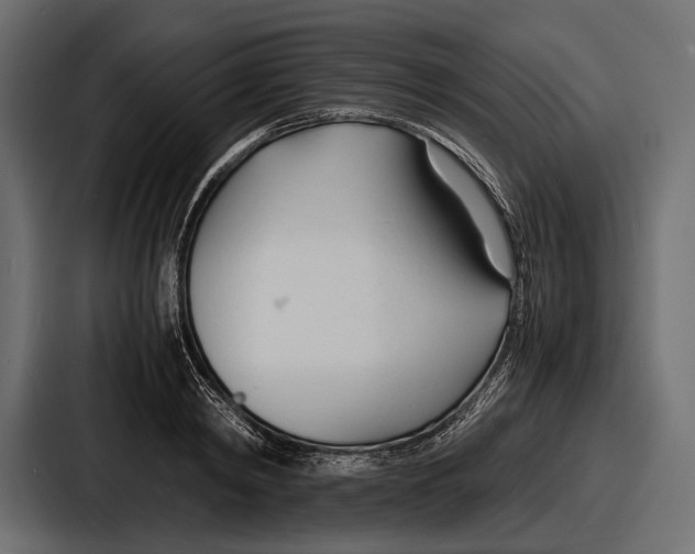 X0000086720798200705111554