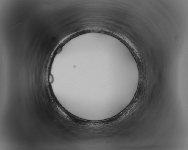 X0000086720799200705111554