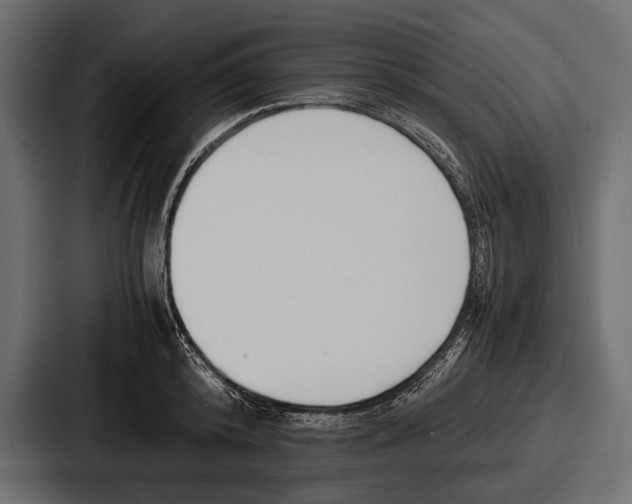 X0000086720800200705111554