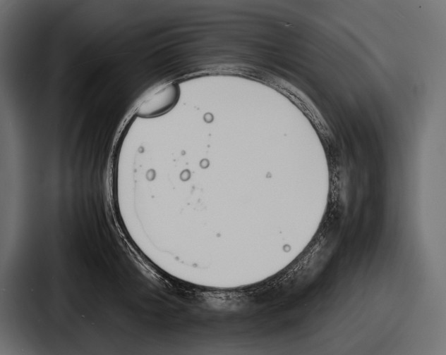 X0000086720804200705111554