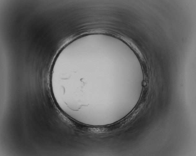 X0000086720805200705111554