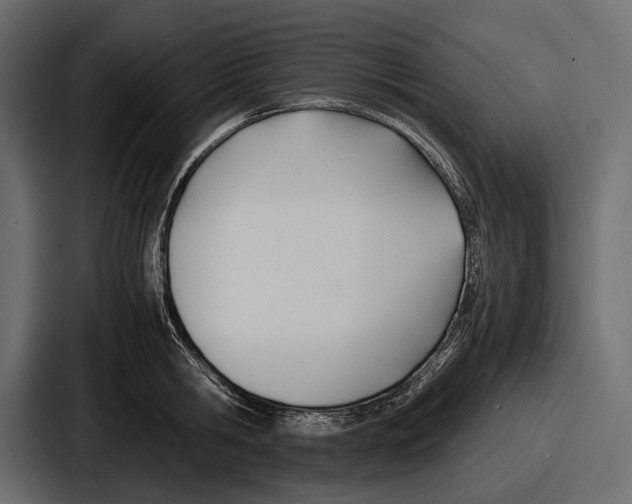 X0000086720806200705111554