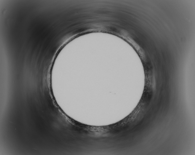 X0000086720807200705111554