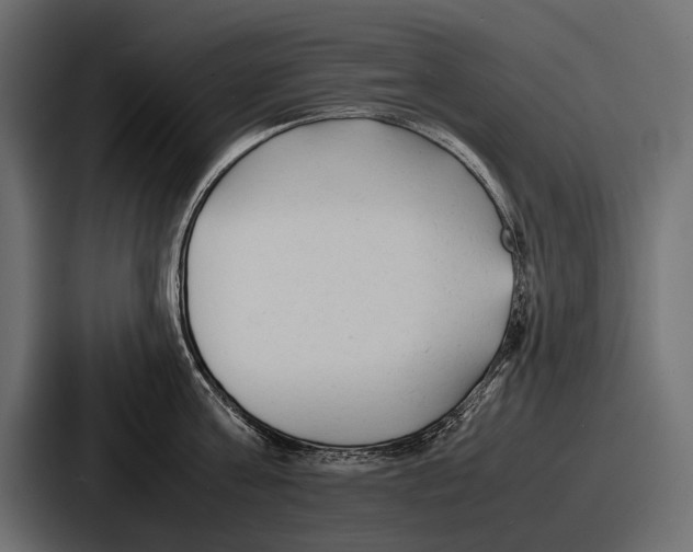 X0000086720811200705111554