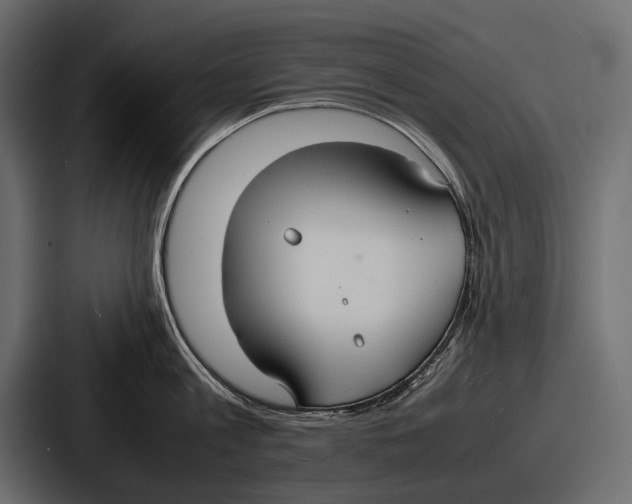 X0000086720813200705111554