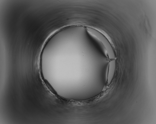 X0000086720815200705111554