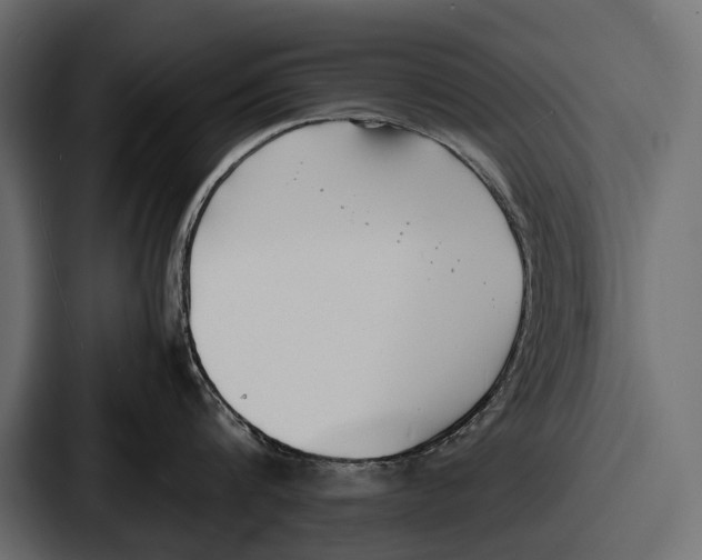 X0000086720816200705111554