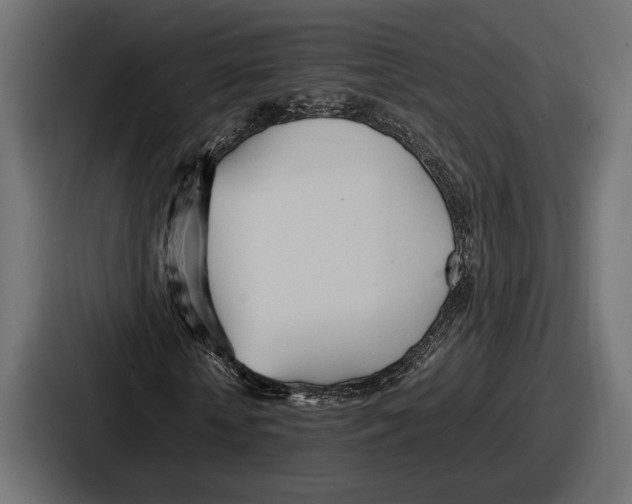 X0000086720818200705111553