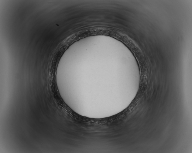 X0000086720821200705111553