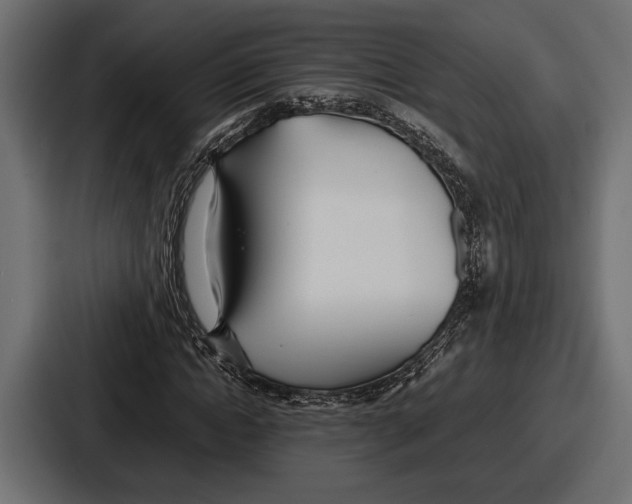 X0000086720822200705111553