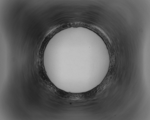 X0000086720823200705111553