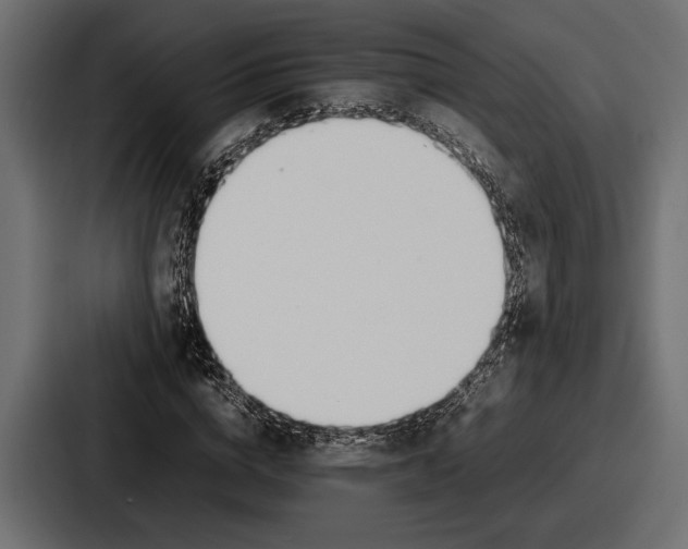 X0000086720824200705111553