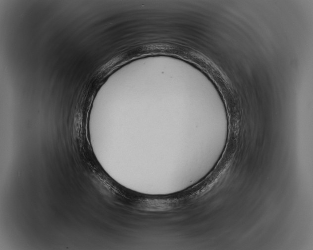 X0000086720825200705111553