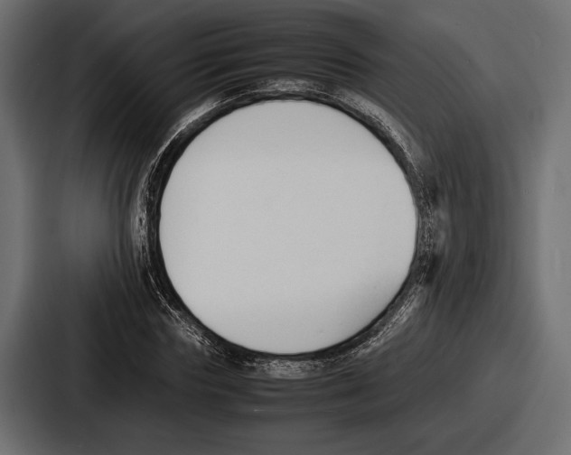 X0000086720827200705111553