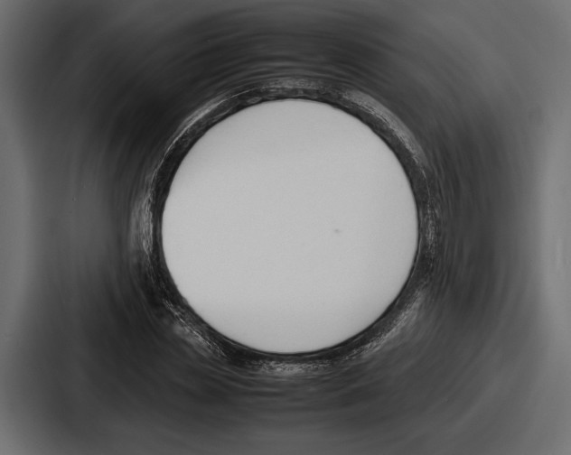 X0000086720829200705111553