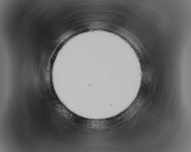 X0000086720832200705111553