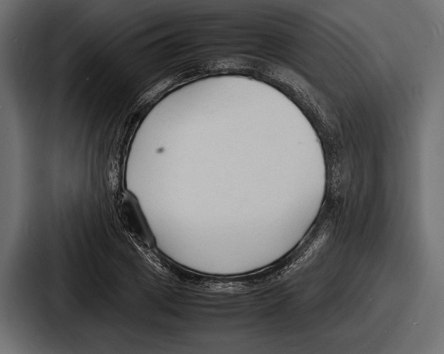 X0000086720833200705111553