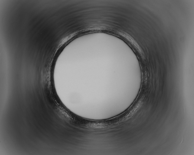 X0000086720834200705111553