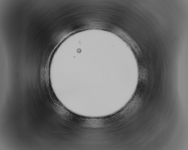 X0000086720836200705111553