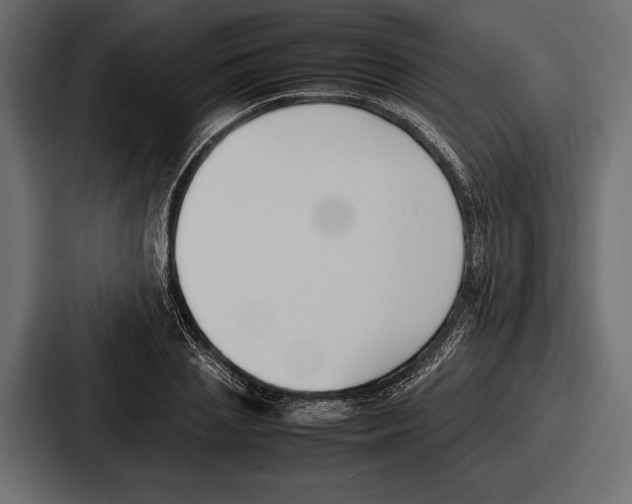 X0000086720837200705111553