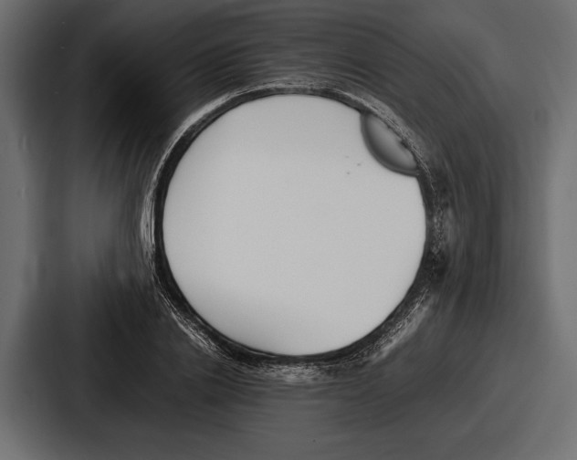 X0000086720838200705111553