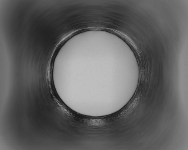 X0000086720839200705111553