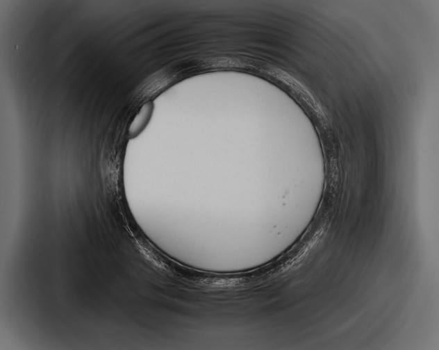 X0000086720841200705111553