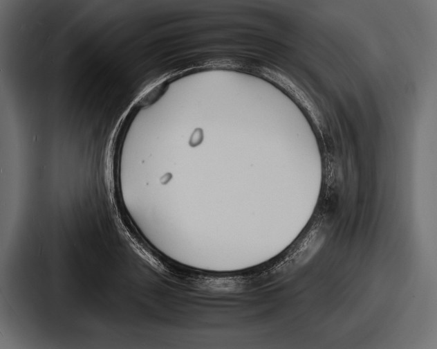 X0000086720843200705111553