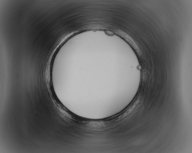 X0000086720844200705111553