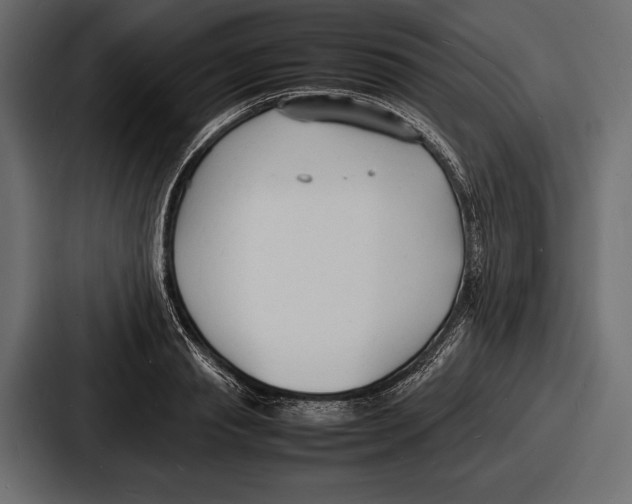 X0000086720845200705111553