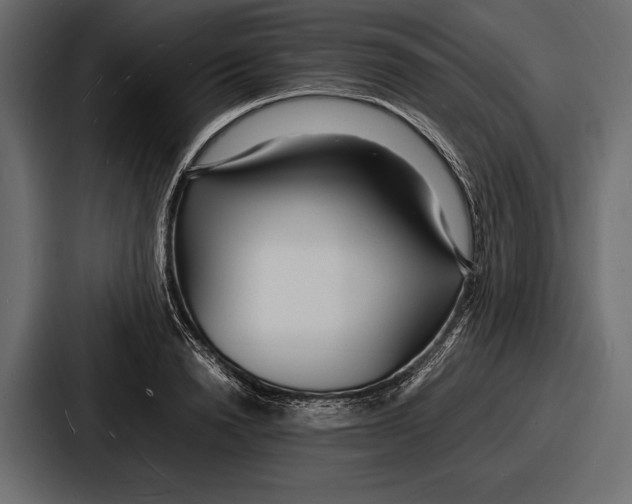 X0000086720846200705111553