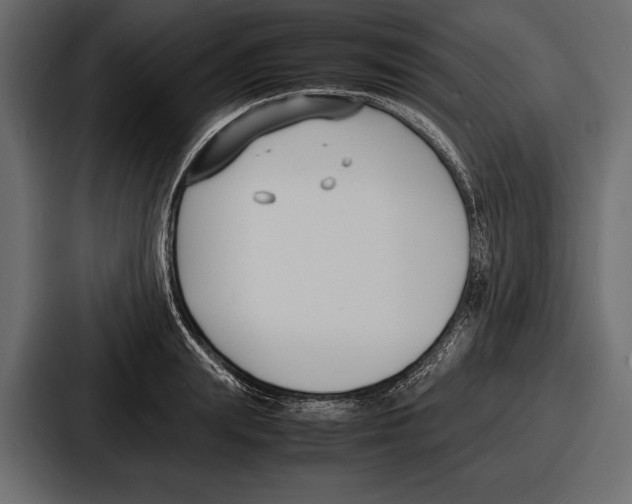 X0000086720847200705111553