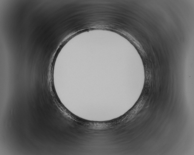 X0000086720848200705111553