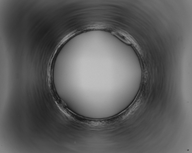 X0000086720850200705111553