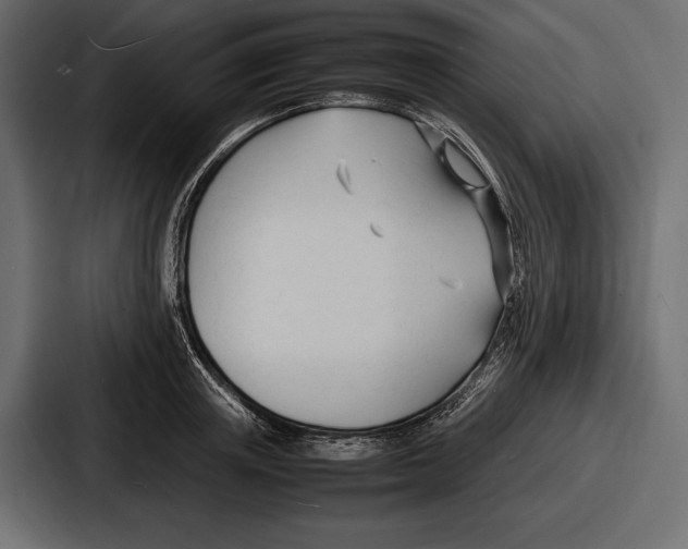 X0000086720851200705111553