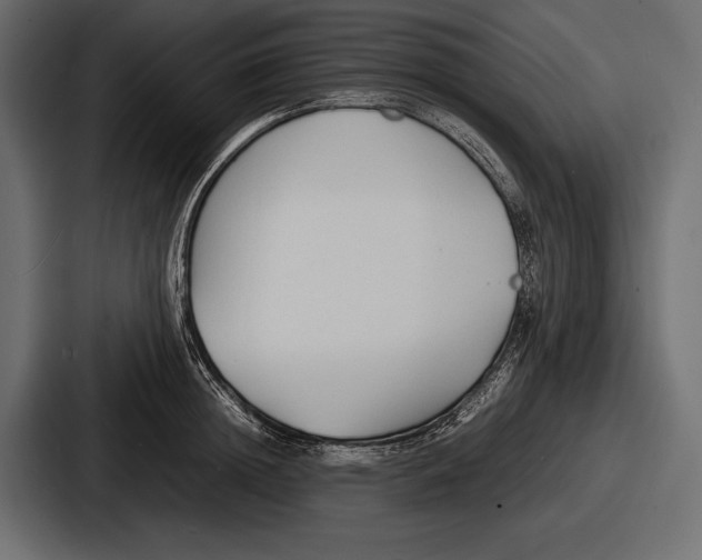 X0000086720852200705111553