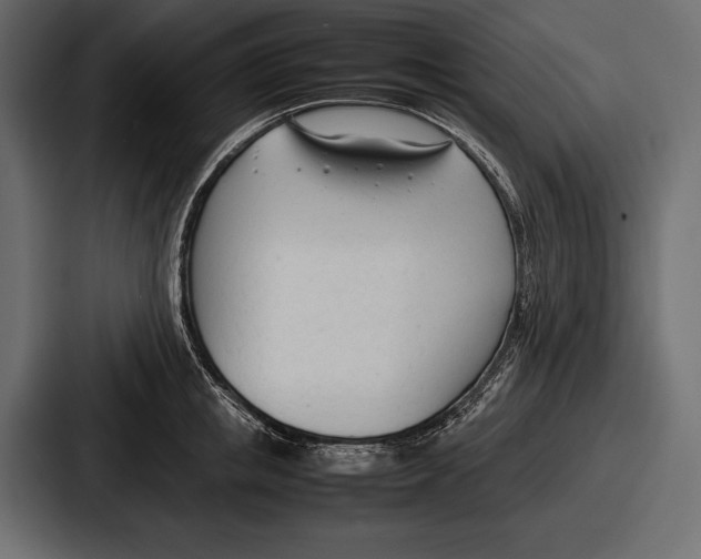 X0000086720853200705111553