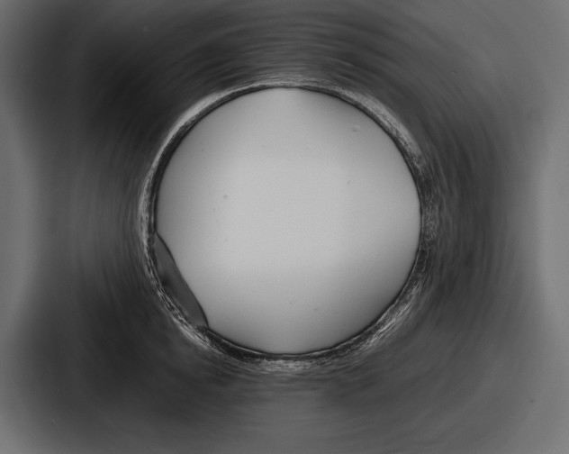 X0000086720854200705111553