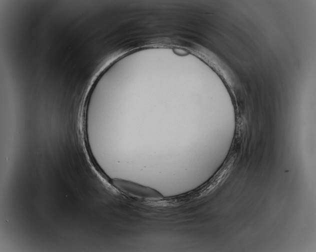 X0000086720855200705111553