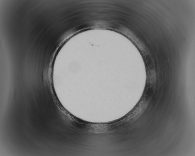 X0000086720856200705111553