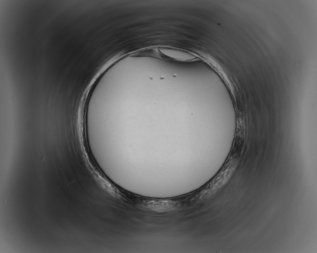 X0000086720859200705111553