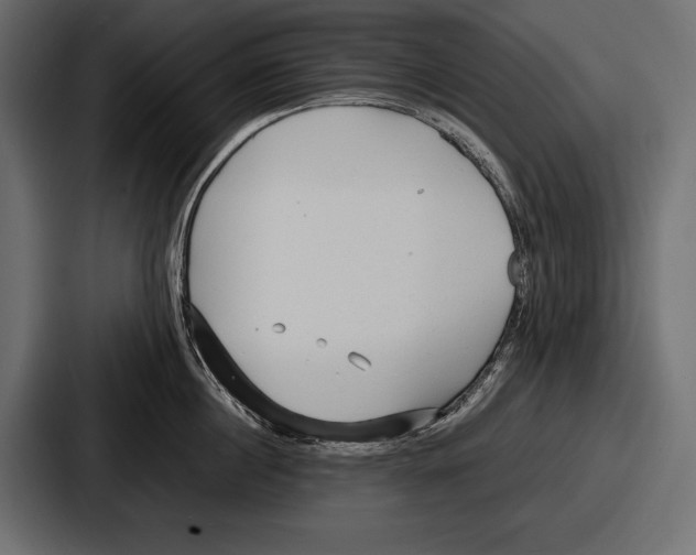 X0000086720860200705111553