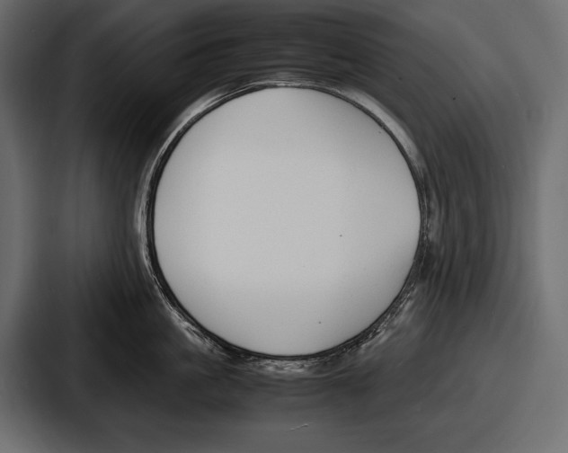 X0000086720861200705111553