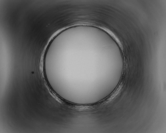 X0000086720862200705111553