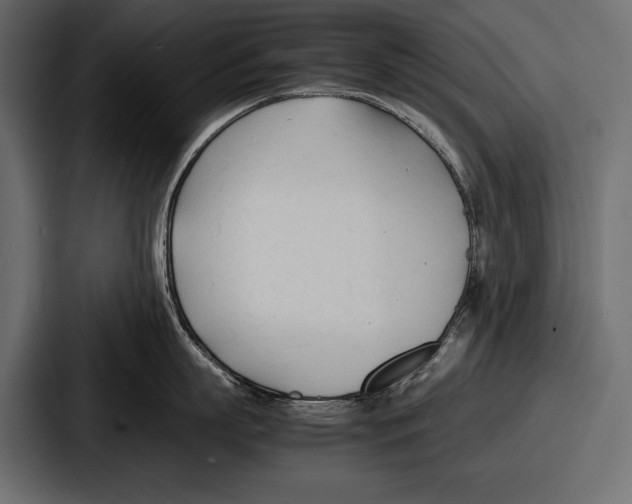 X0000086720863200705111553