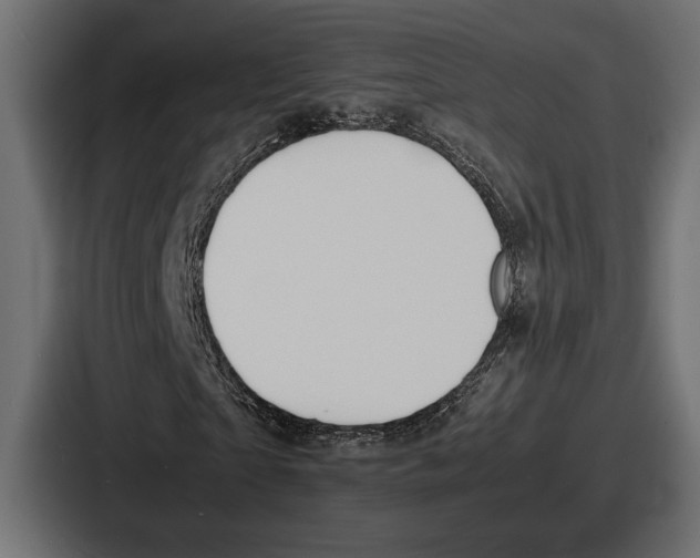 X0000086720865200705111553