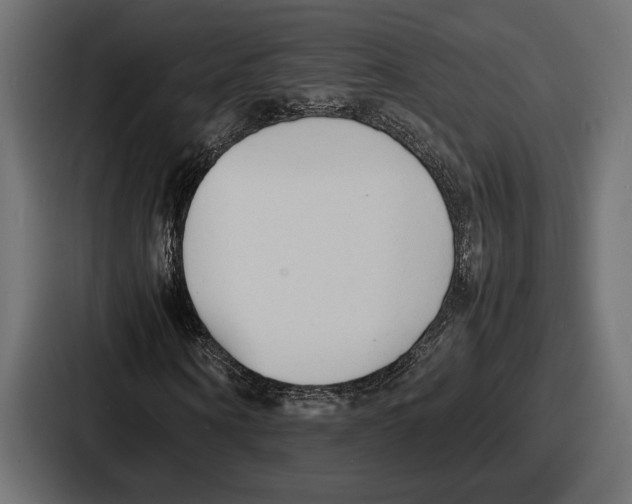 X0000086720866200705111553