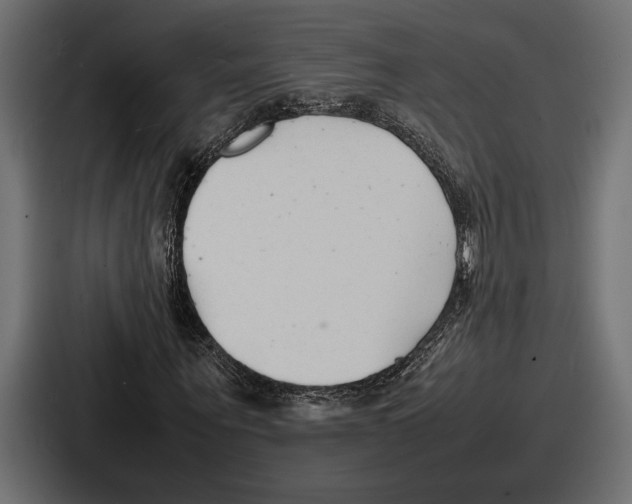 X0000086720867200705111553