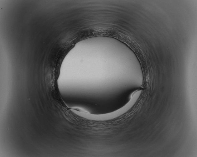 X0000086720868200705111553